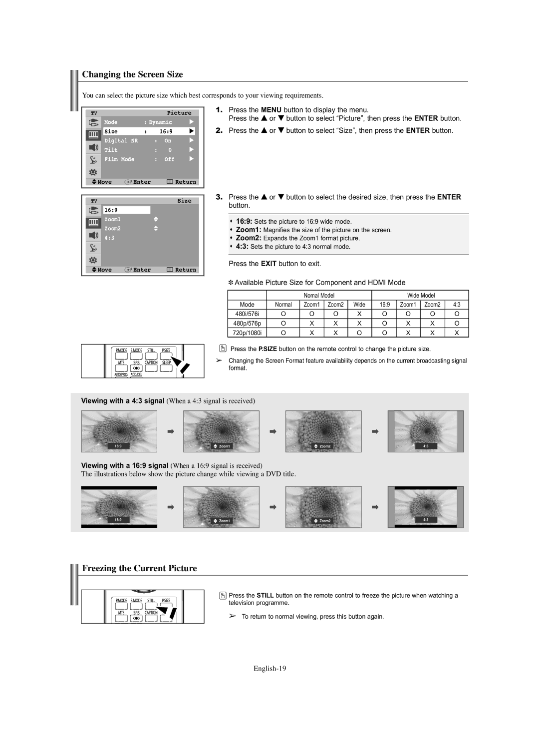 Samsung TX-S3064WR, TX-S3065WR manual Changing the Screen Size, Freezing the Current Picture 