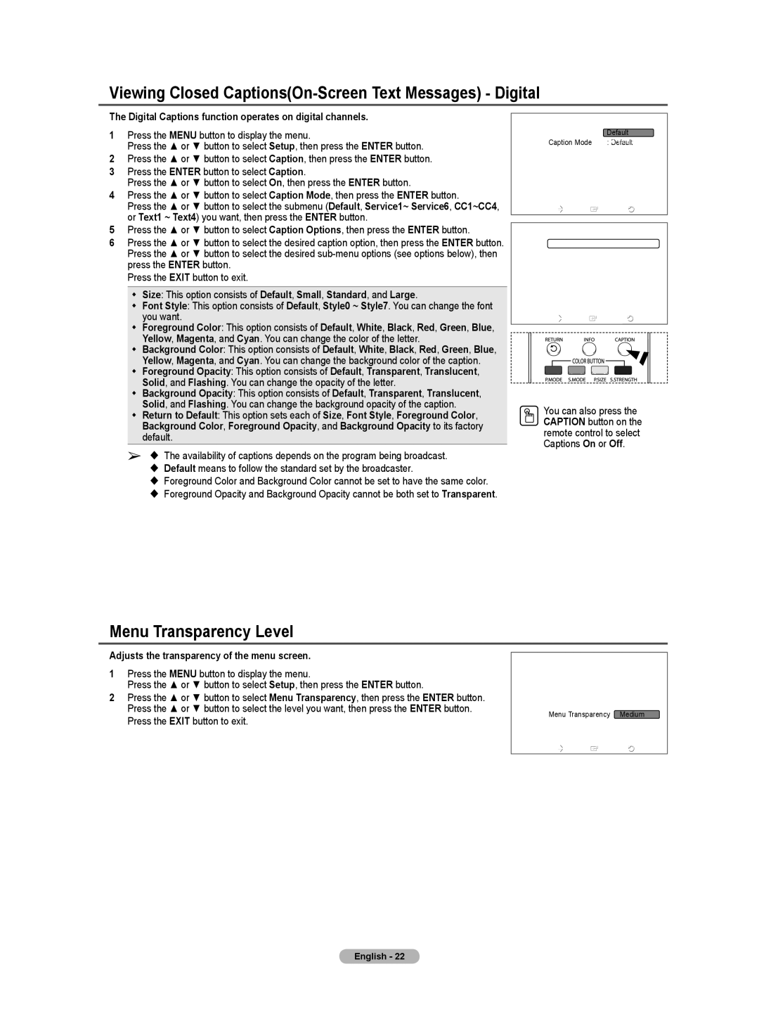 Samsung TX-T3091WH specifications Viewing Closed CaptionsOn-Screen Text Messages Digital, Menu Transparency Level 