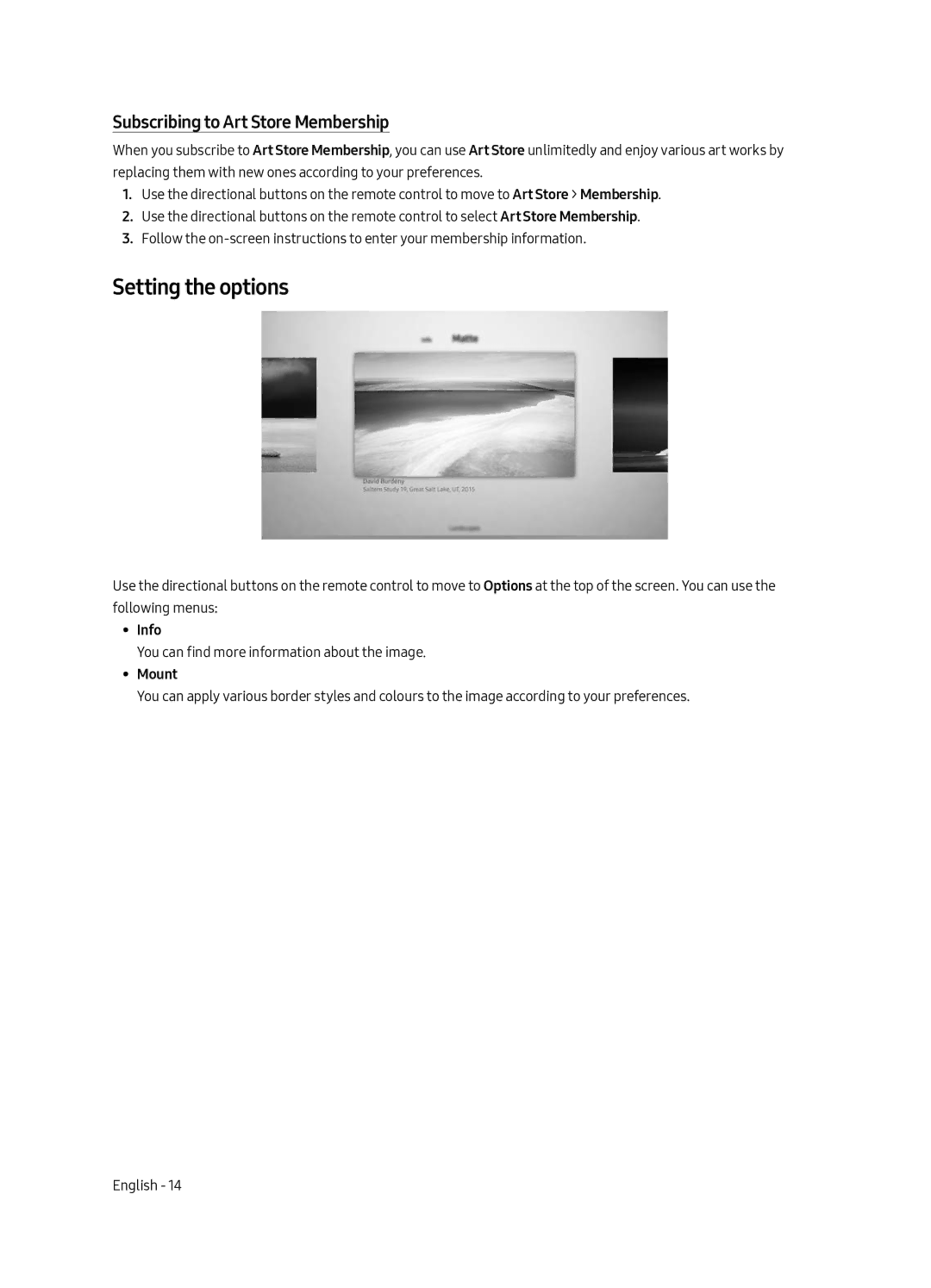 Samsung UE43LS003ASXXN manual Setting the options, Subscribing to Art Store Membership, Info, Mount 