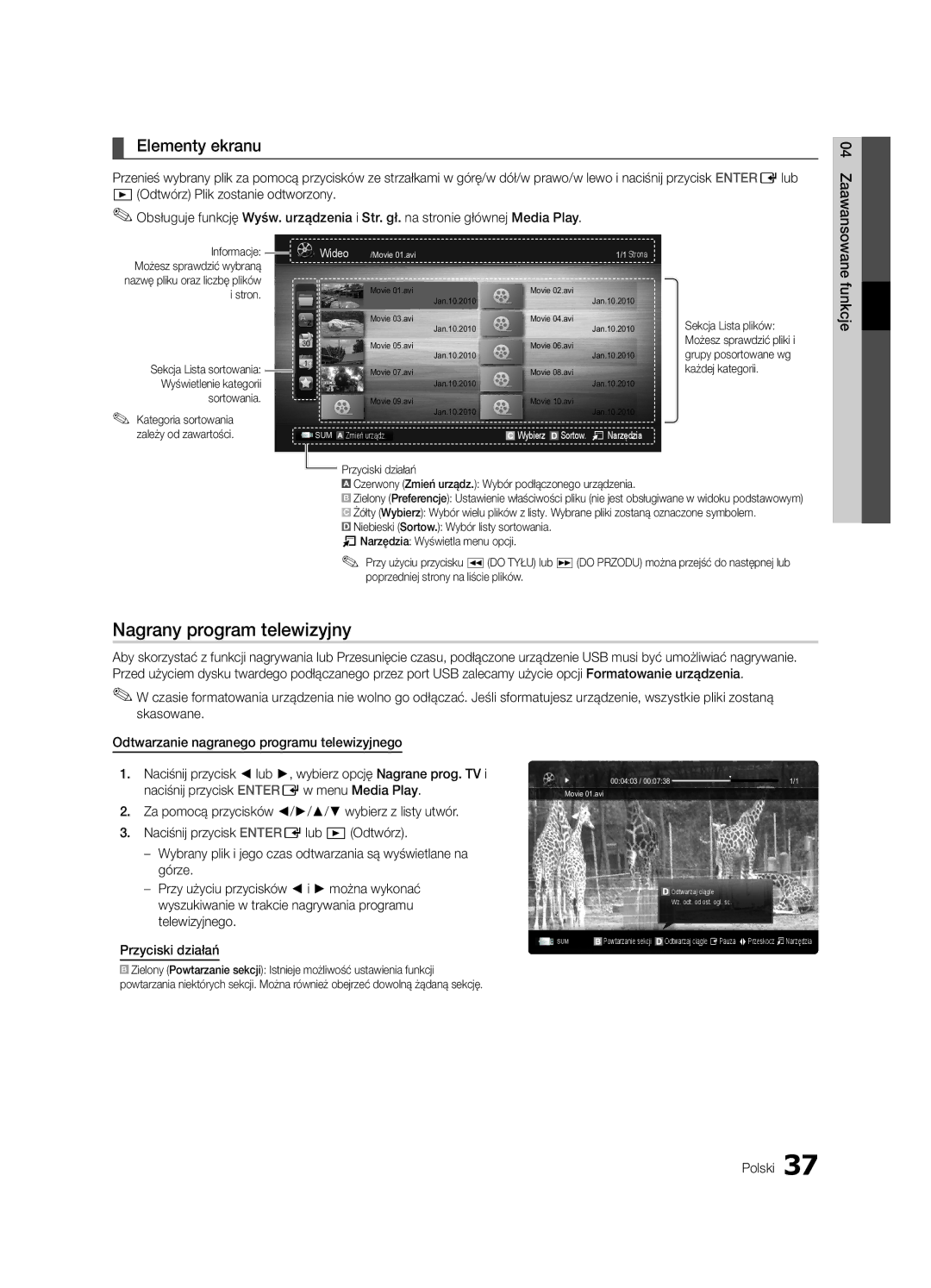 Samsung UE65C8000XWXXH, UE46C8000XWXXC, UE46C8790XSXZG, UE46C8790XSXZF manual Nagrany program telewizyjny, Elementy ekranu 