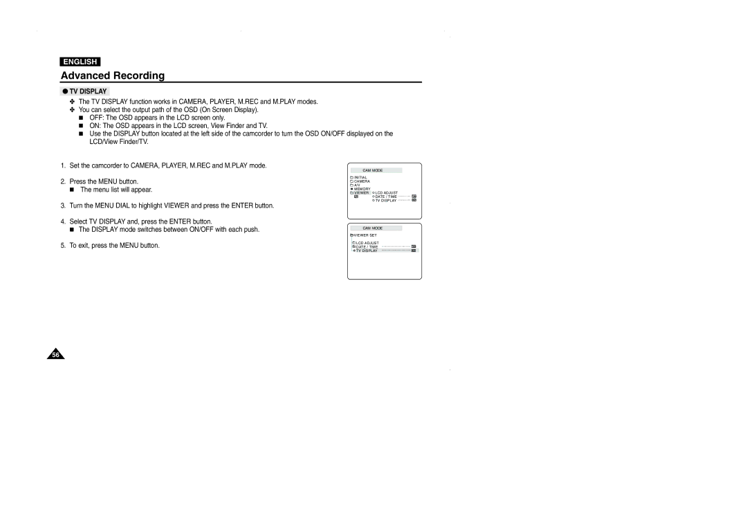 Samsung VP-D101, D105, D102D, D103 manual TV Display 