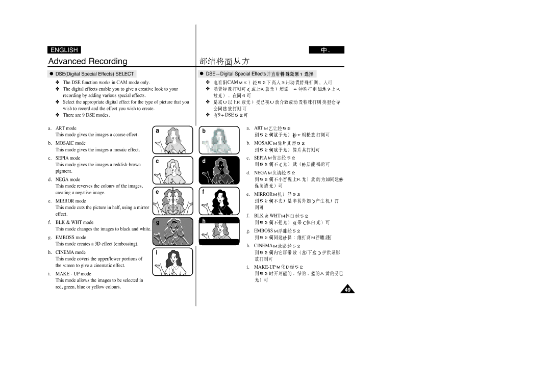 Samsung VP-D200(I), VP-D250(I), VP-D230(I) manual DSEDigital Special Effects Select, DSE Digital Special Effects, Art, Sepia 