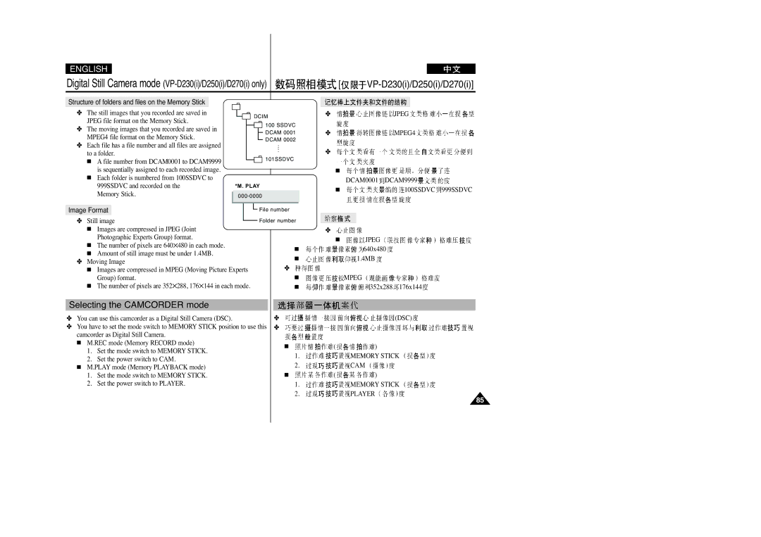 Samsung VP-D200(I), VP-D250(I), VP-D230(I), VP-D270(I) manual Selecting the Camcorder mode, Image Format, Dsc, Memory Stick 