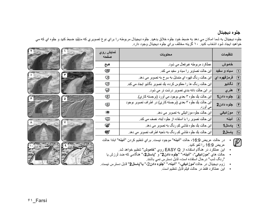 Samsung VP-DX10/KNT, VP-DX10/UMG, VP-DX10H/MEA, VP-DX10/HAC, VP-DX10/ADL, VP-DX10/MEA, VP-DX10H/HAC manual ﻝﺎﺘﻴﺠﻳﺩ ﻩﻮﻠﺟ, ۶١Farsi 