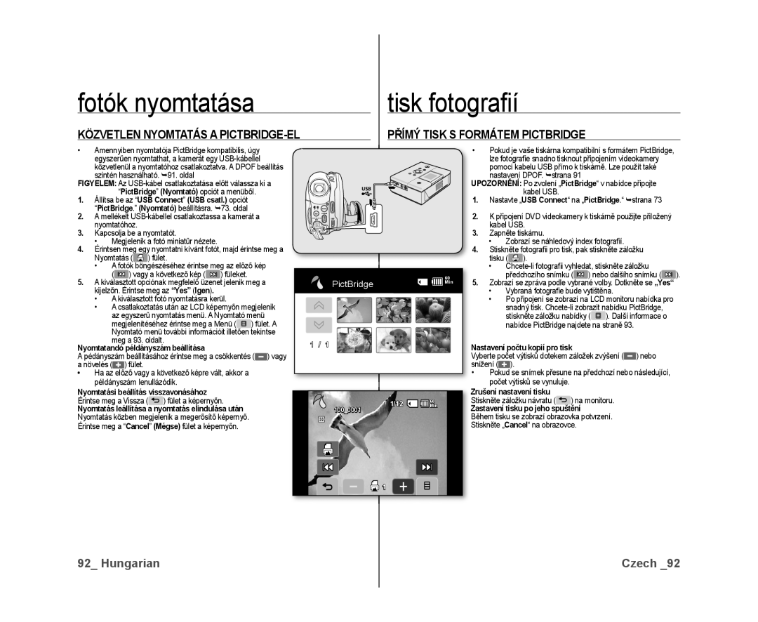 Samsung VP-DX10/XEO manual Zrušení nastavení tisku 