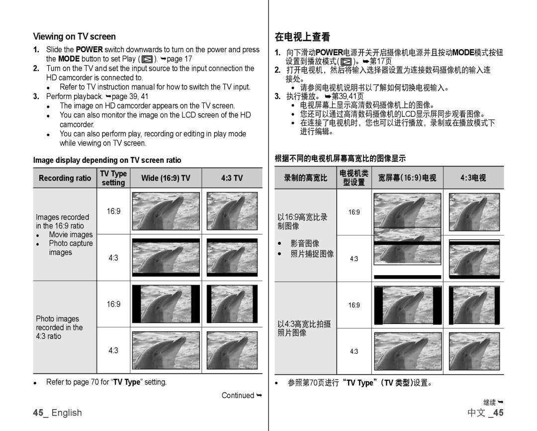 Samsung VP-HMX10C/XEK 在电视上查看, Viewing on TV screen, Image display depending on TV screen ratio, TV Type Wide 169 TV 43 TV 