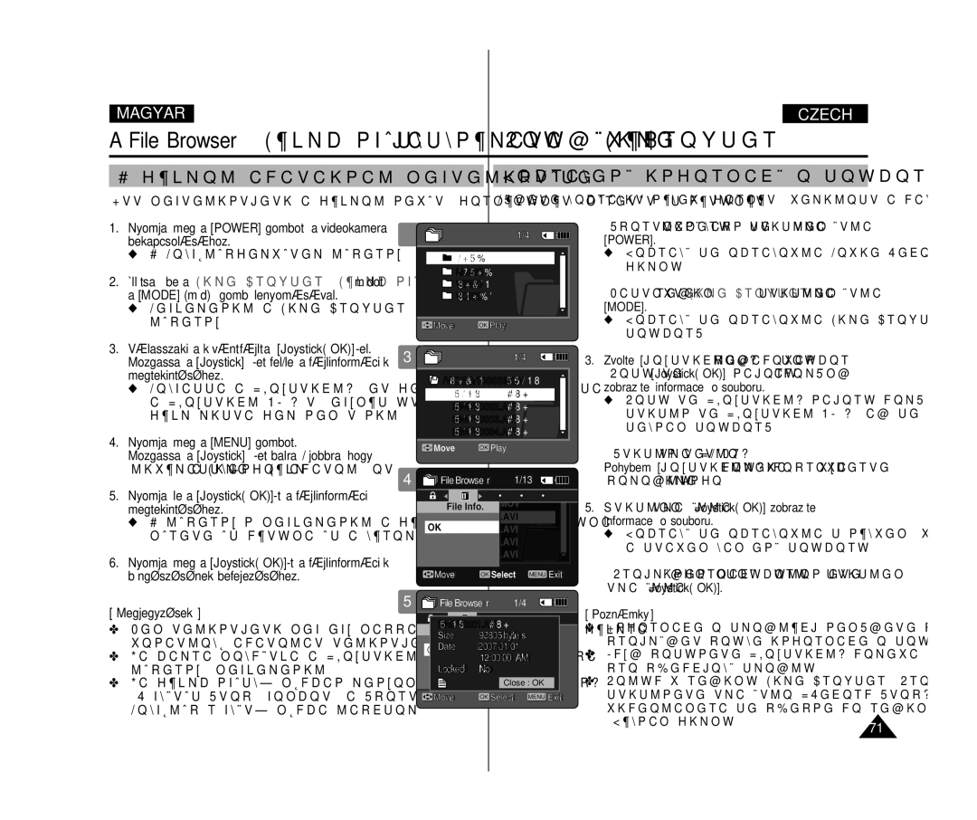 Samsung VP-X300L/XEO manual Fájlok adatainak megtekintése Zobrazení informací o souboru, Záznam filmu 