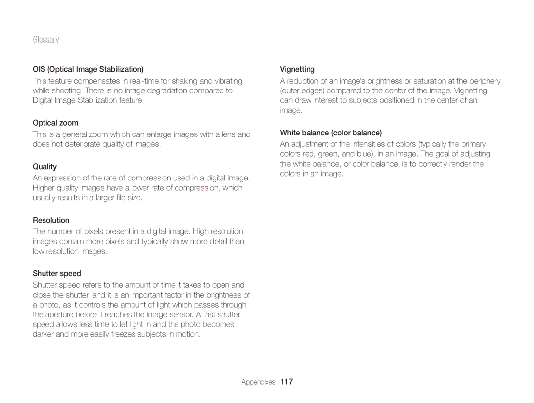 Samsung WB100, WB101 appendix Glossary 