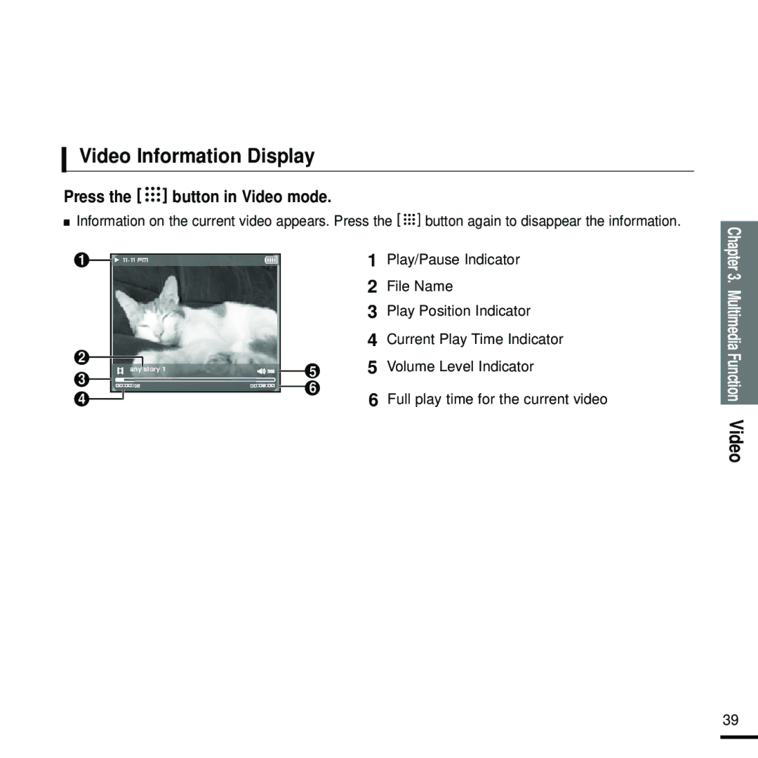 Samsung YP-T9 manual Video Information Display 