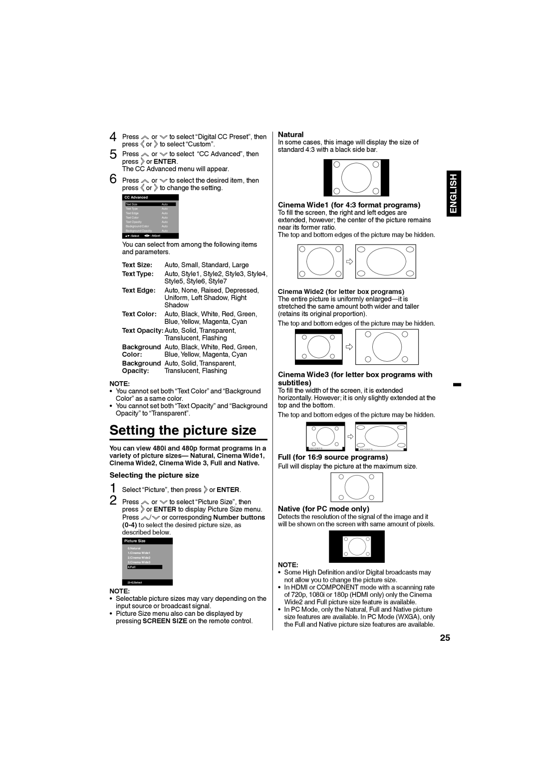 Sanyo DP19640 manual Setting the picture size 