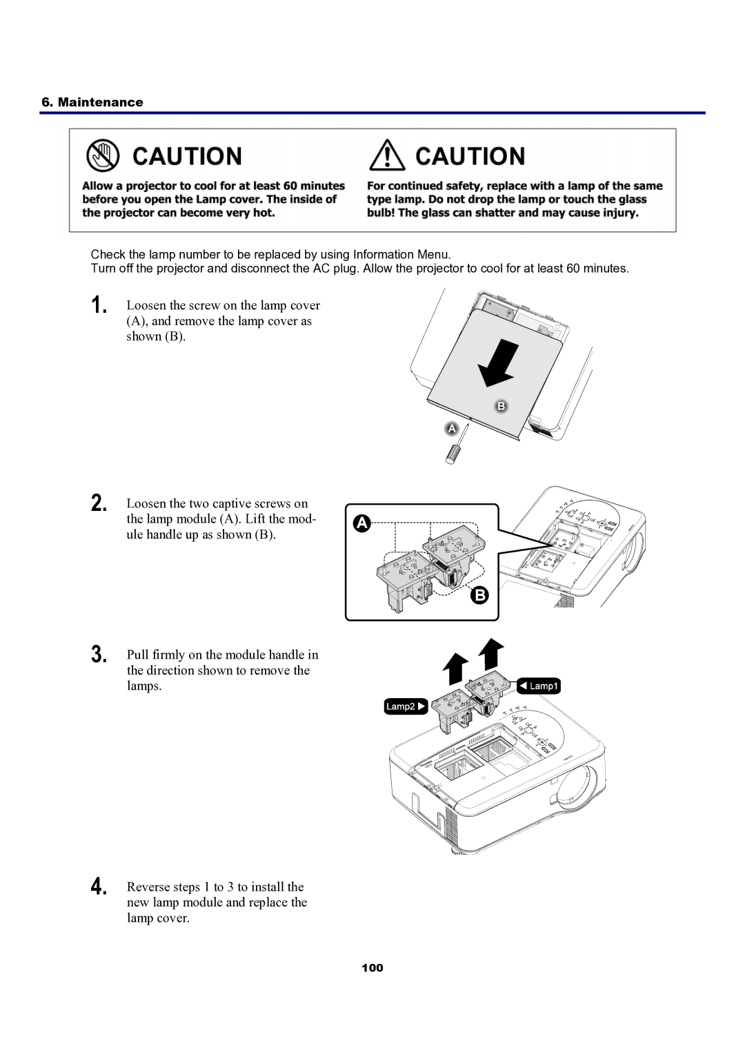 Sanyo PDG-DXT10KL, PDG-DXT10L manual 100 