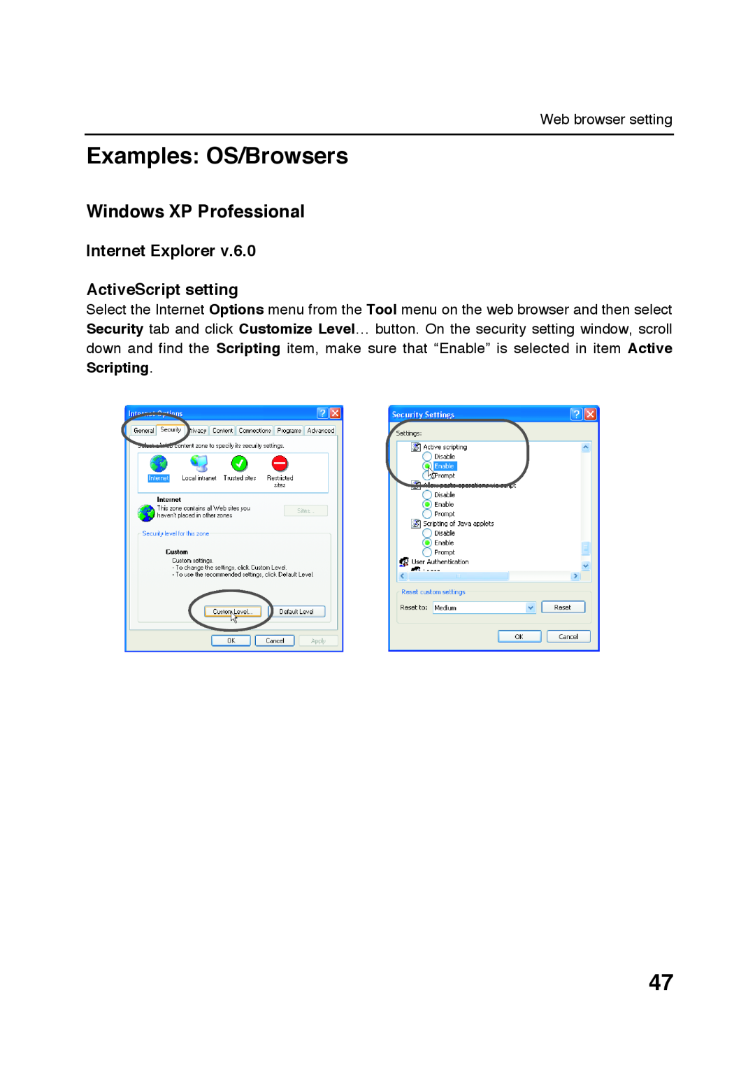 Sanyo POA-LN01 appendix Examples OS/Browsers, Windows XP Professional, Internet Explorer ActiveScript setting 