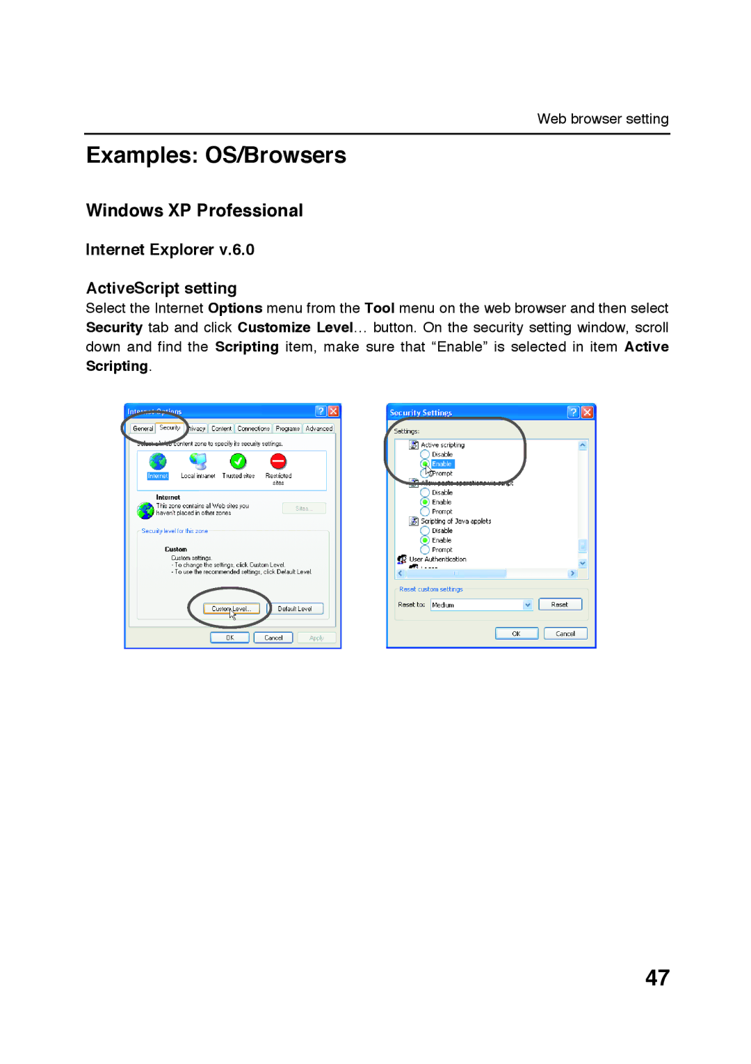 Sanyo POA-LN01 appendix Examples OS/Browsers, Windows XP Professional, Internet Explorer ActiveScript setting 