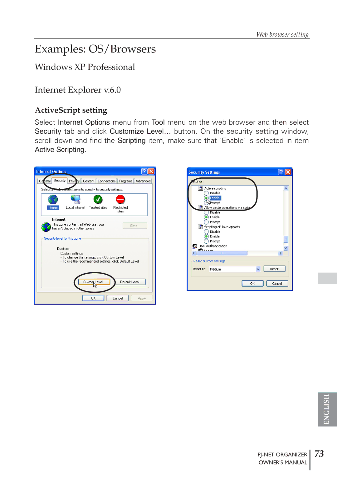 Sanyo POA-PN40 owner manual Examples OS/Browsers, Windows XP Professional Internet Explorer, ActiveScript setting 