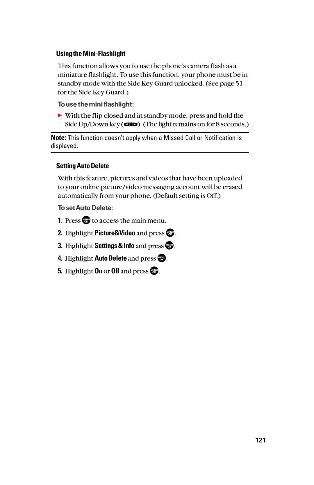 Sanyo scp8300 manual Using the Mini-Flashlight, Setting Auto Delete 