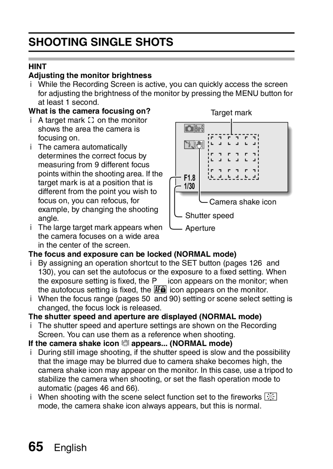 Sanyo VPC-FH1GX, VPC-FH1EX instruction manual Shooting Single Shots 