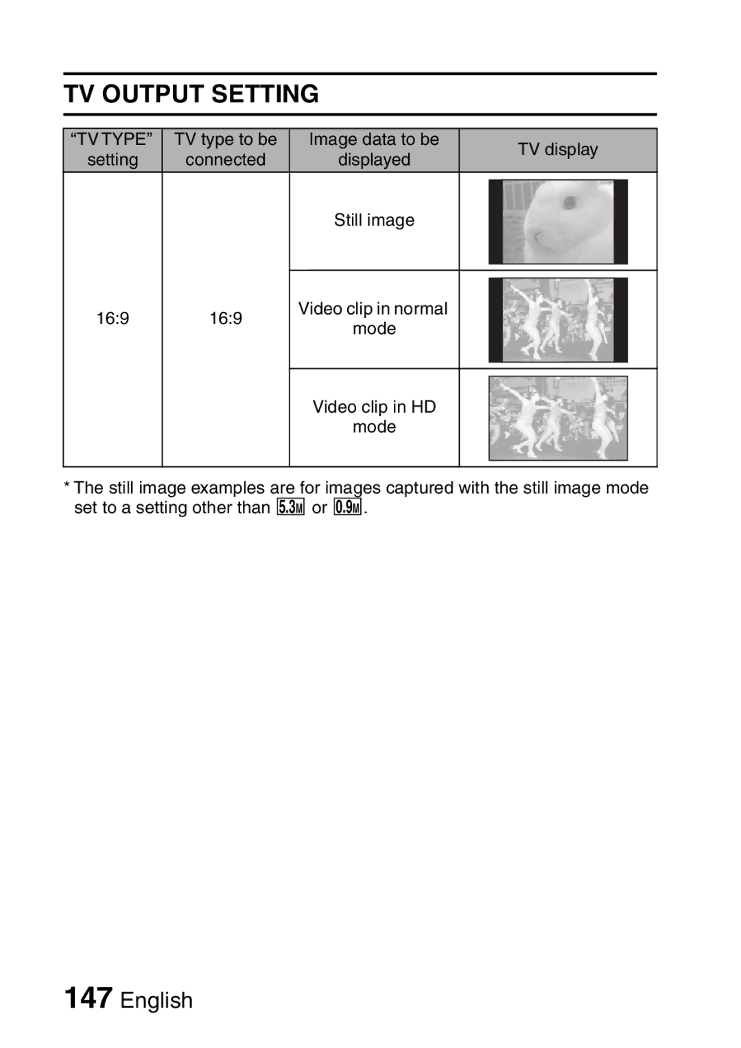 Sanyo VPC-H2GX, VPC-HD2EX instruction manual TV Type setting 