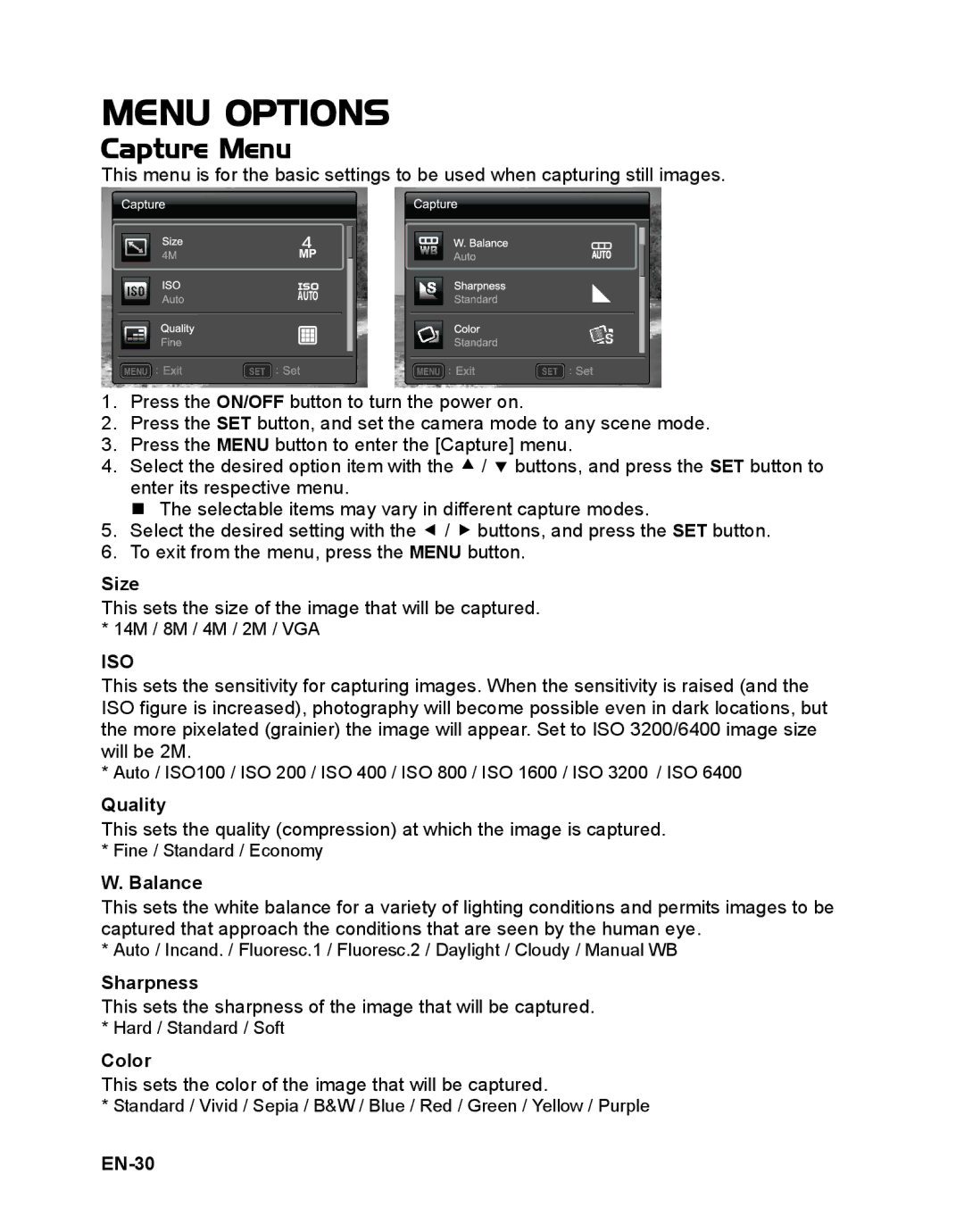 Sanyo VPC-S1415 manual Menu Options, Capture Menu 