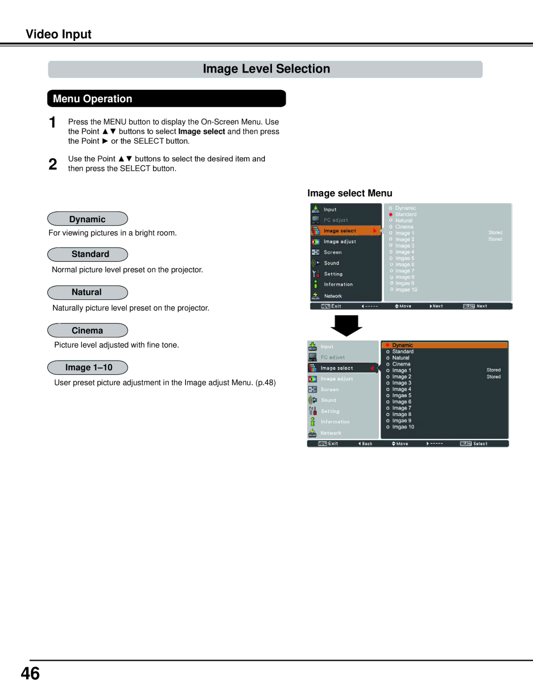 Sanyo WM5500L, PLC-WM5500 owner manual Video Input, Dynamic, Natural, Cinema, Image 