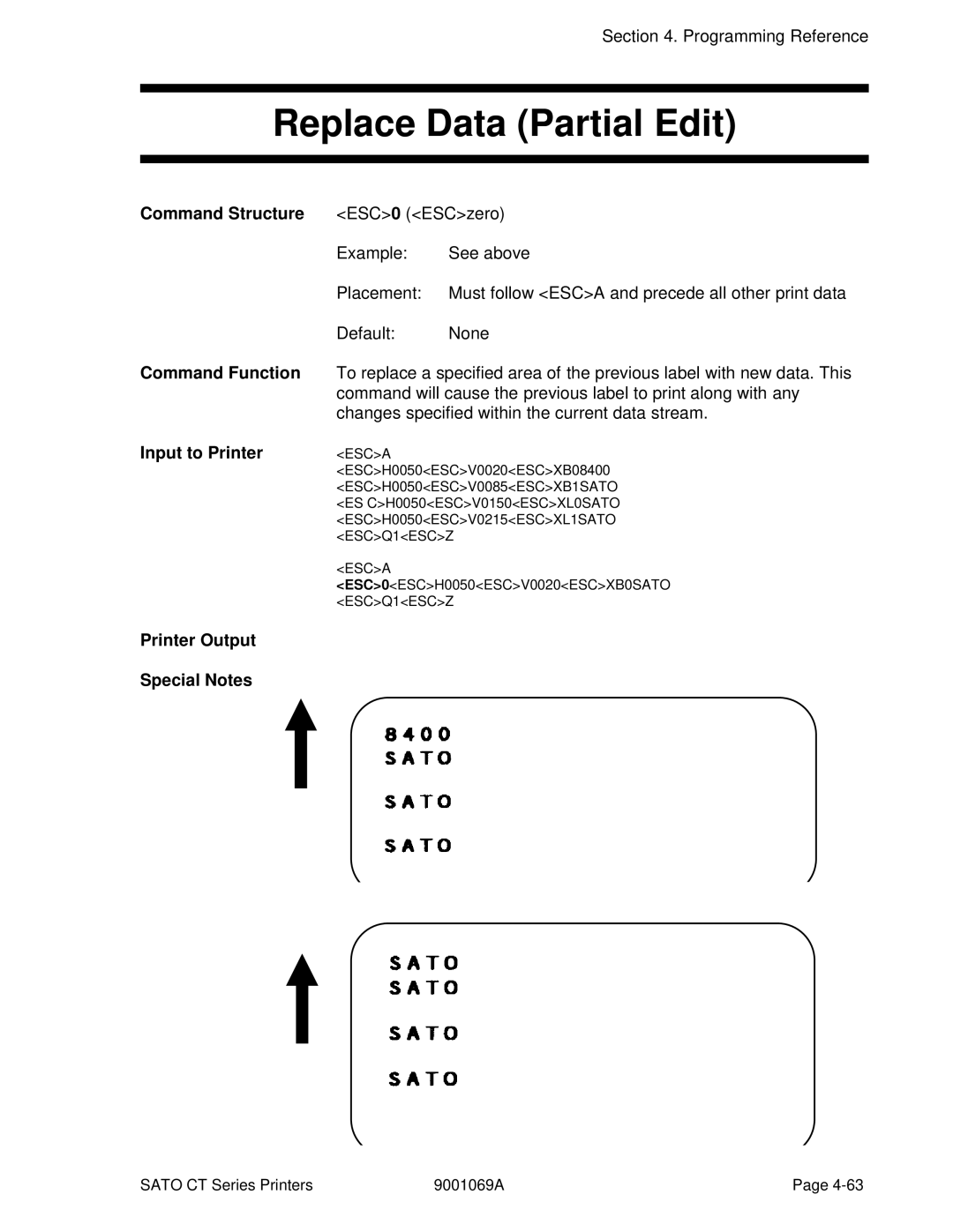 SATO CT400, CT410 manual Replace Data Partial Edit, Printer Output Special Notes 