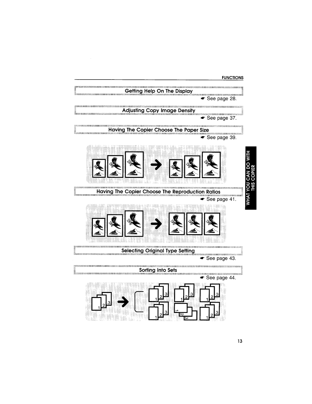 Savin 9950DP manual 