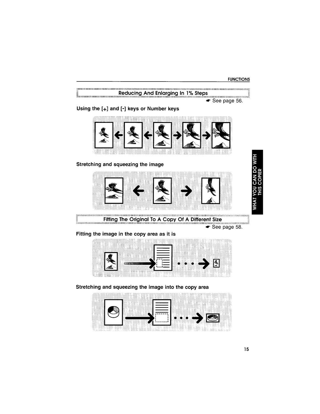 Savin 9950DP manual 