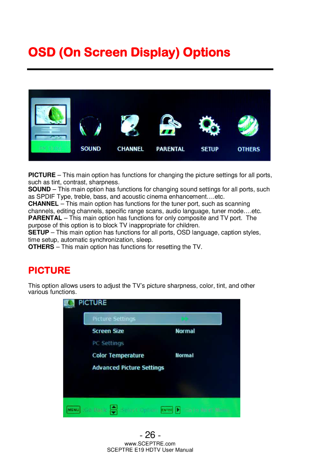 Sceptre Technologies E19 user manual OSD On Screen Display Options, Picture 
