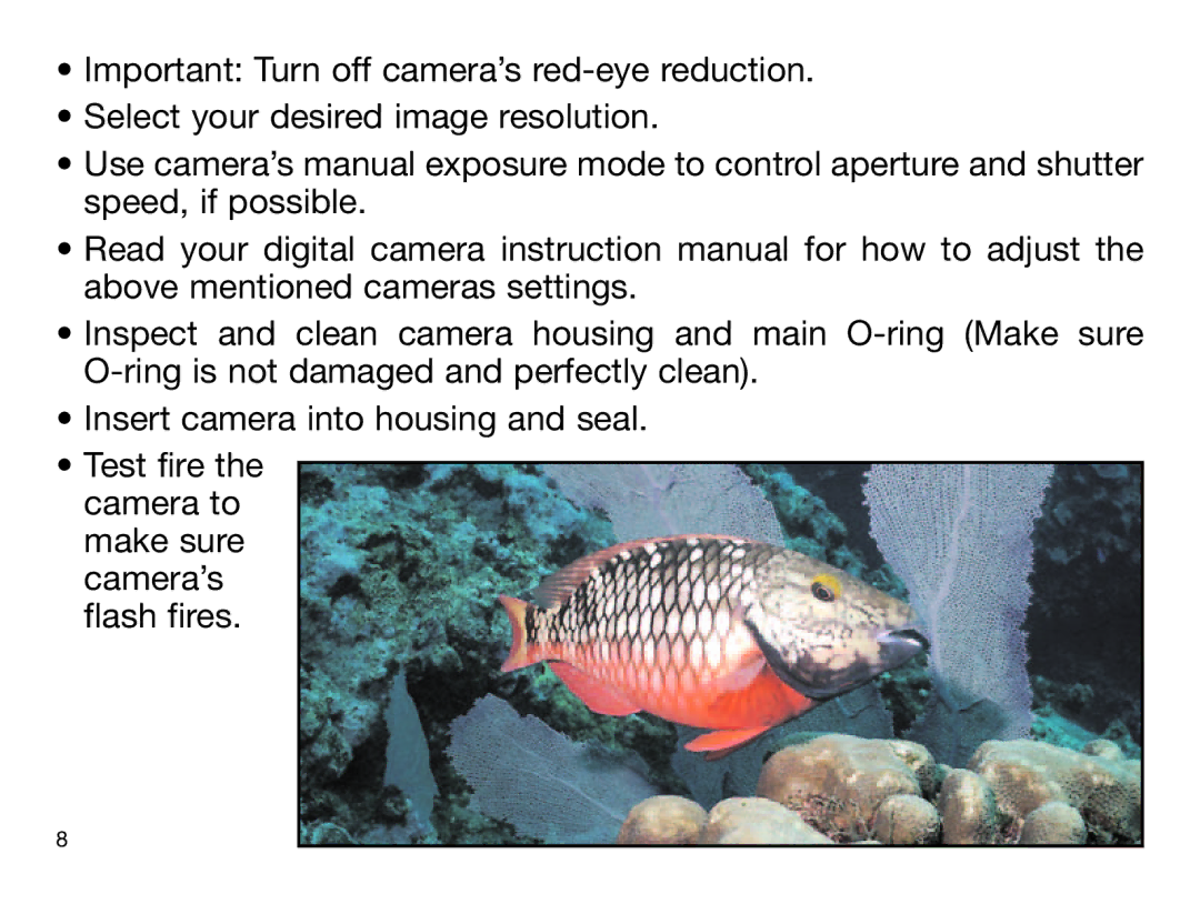 Sealife DIGITAL FLASH manual 