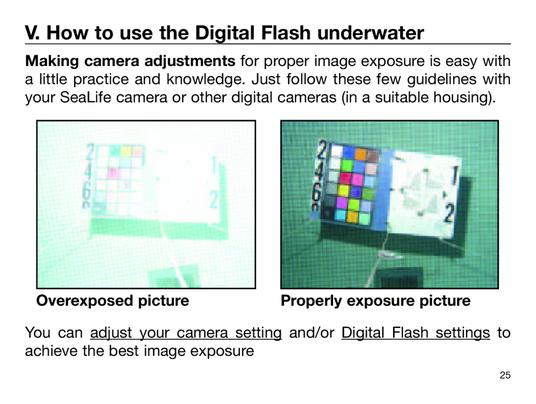 Sealife DIGITAL FLASH manual How to use the Digital Flash underwater, Overexposed picture 