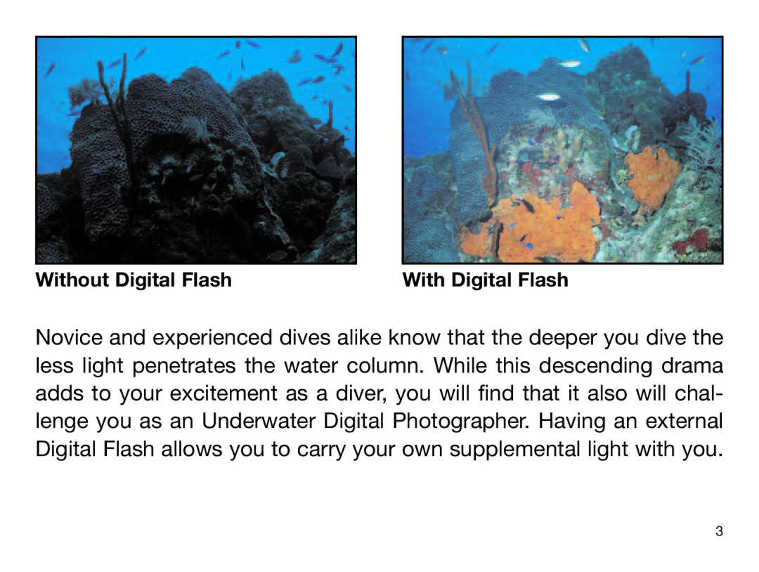 Sealife DIGITAL FLASH manual Without Digital Flash With Digital Flash 