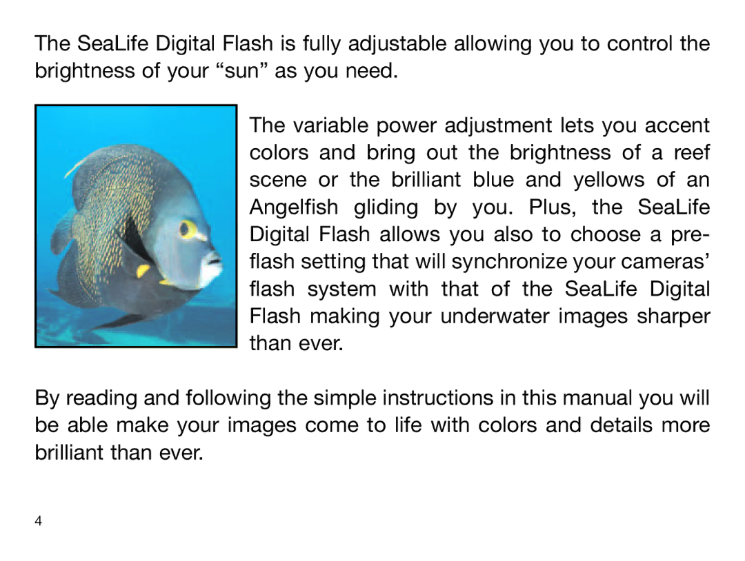 Sealife DIGITAL FLASH manual 