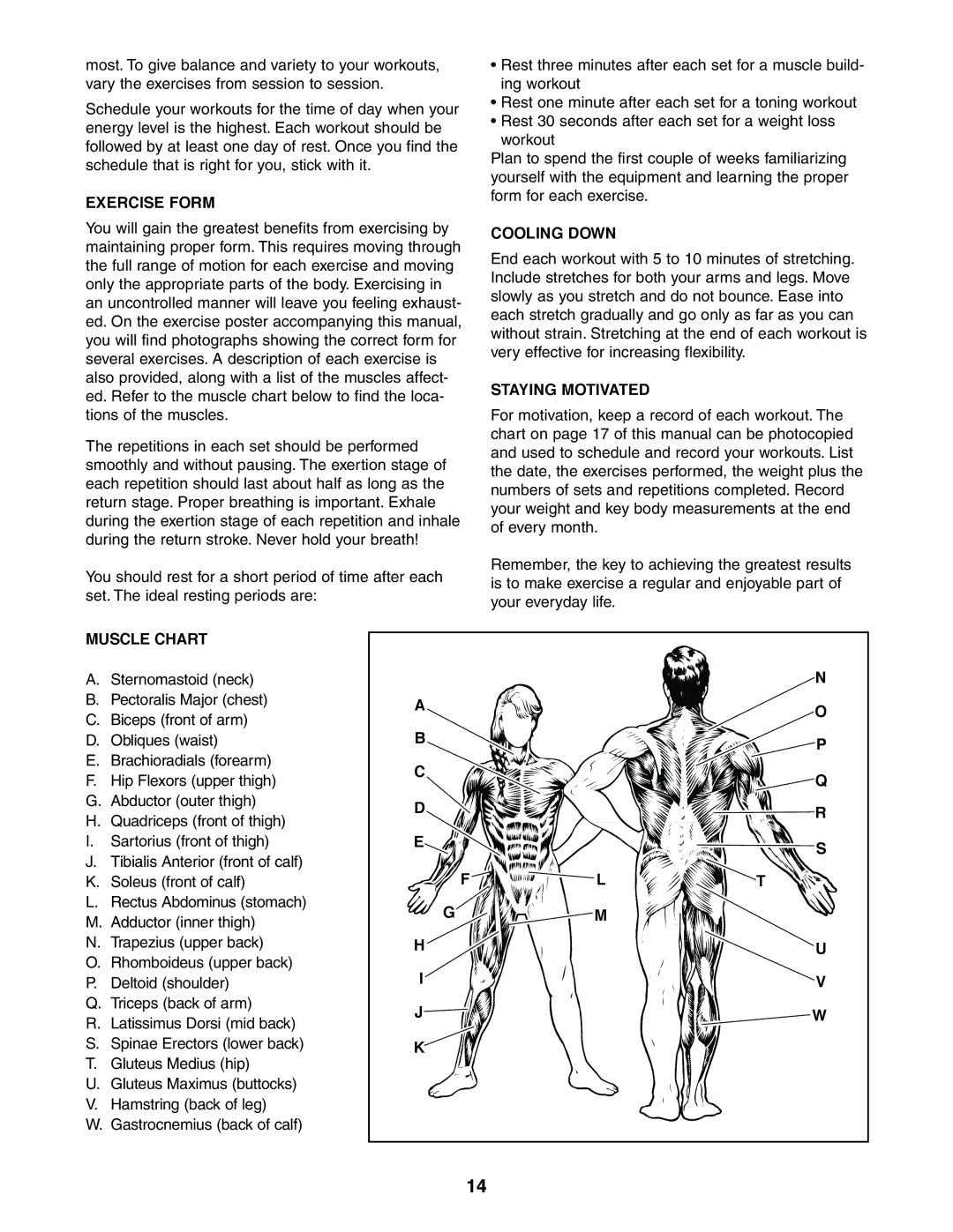 Sears 831.150860 user manual Exercise Form, Cooling Down, Staying Motivated, Muscle Chart 