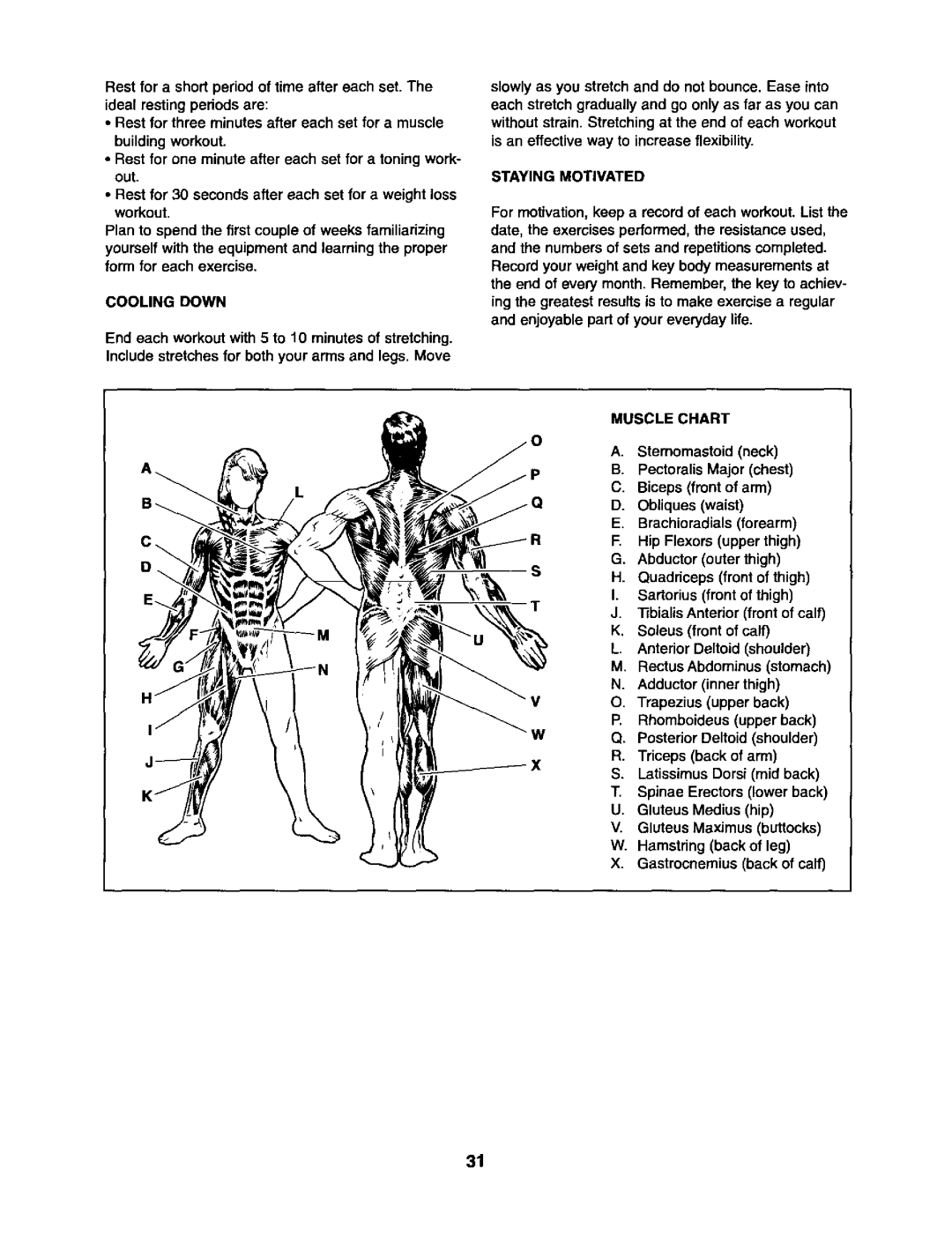 Sears 831.15403 user manual Staying Motivated, Muscle Chart 