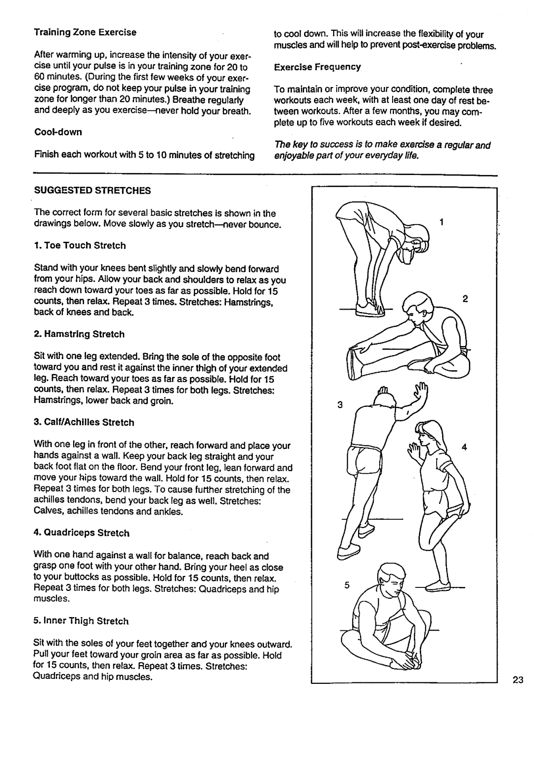 Sears 831.29776 user manual Suggested Stretches, Correct form for several basic stretches is shown 