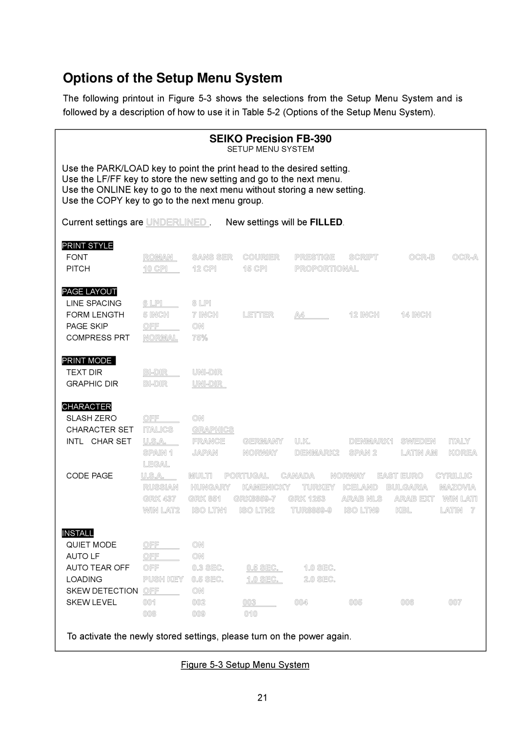 Seiko FB 390 user manual Options of the Setup Menu System 