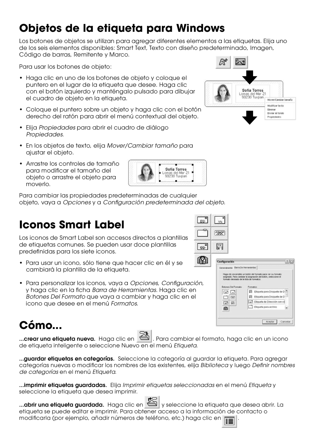 Seiko Instruments SLP 450, SLP 440, SLP 430, SLP 420, SLP 410 Objetos de la etiqueta para Windows, Iconos Smart Label 