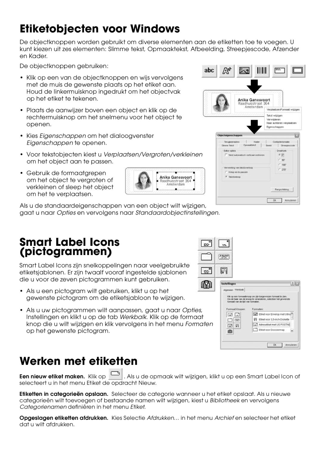 Seiko Instruments SLP 430, SLP 440, SLP 450, SLP 420, SLP 410 Etiketobjecten voor Windows, Smart Label Icons pictogrammen 