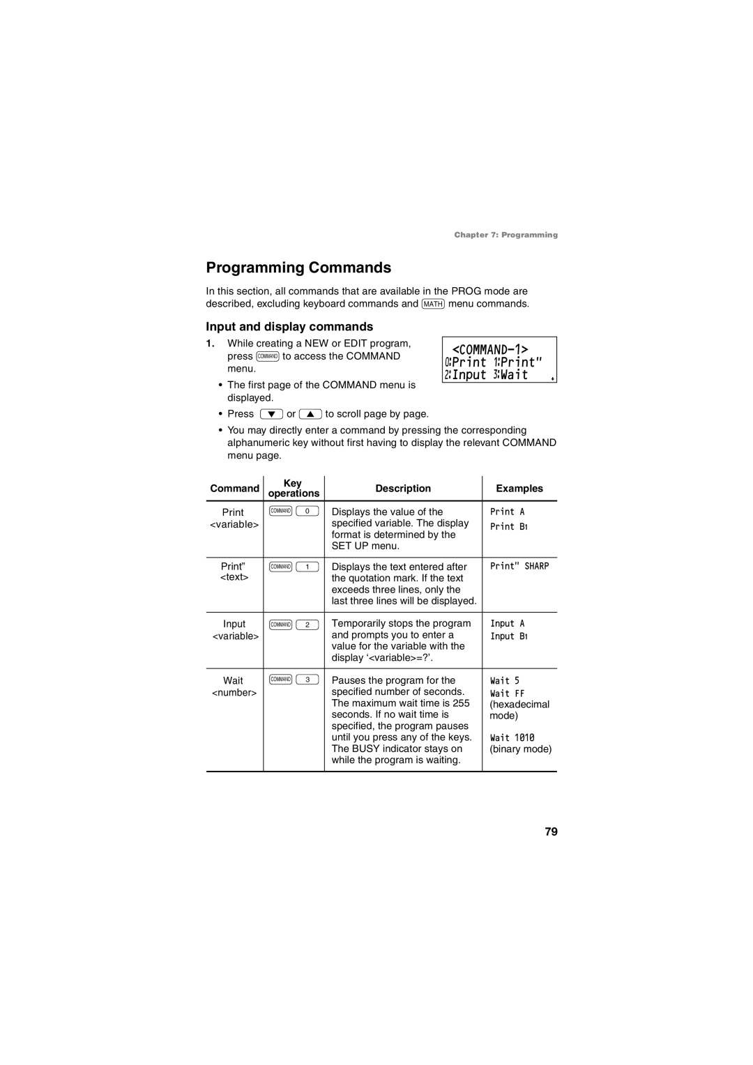 Sharp EL-5230, EL-5250 Programming Commands, COMMAND-1 ƒPrint ⁄Print ¤Input ‹Wait, Input and display commands 