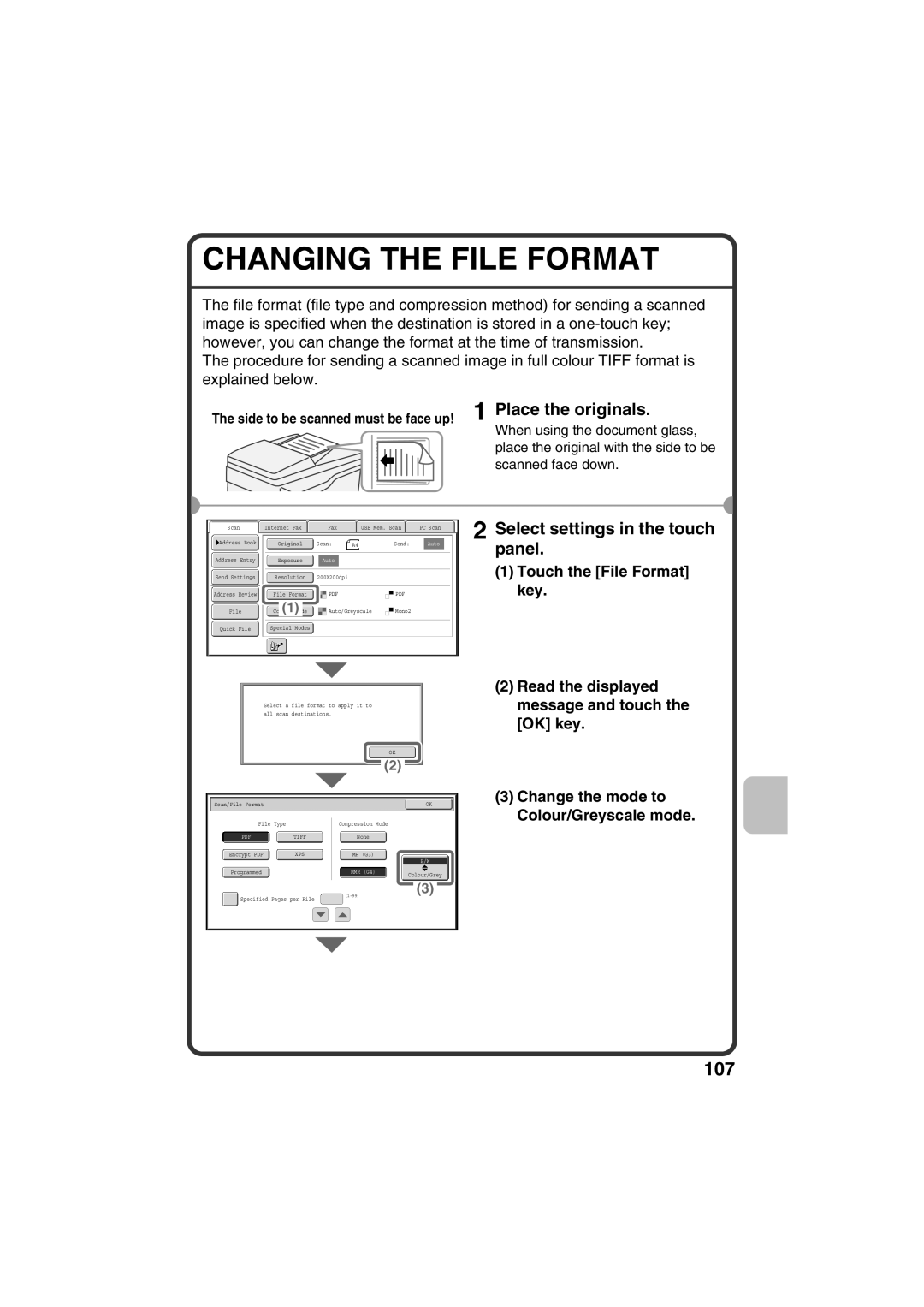 Sharp MX-C381, MX-C311 Changing The File Format, Touch the File Format key, Change the mode to Colour/Greyscale mode 