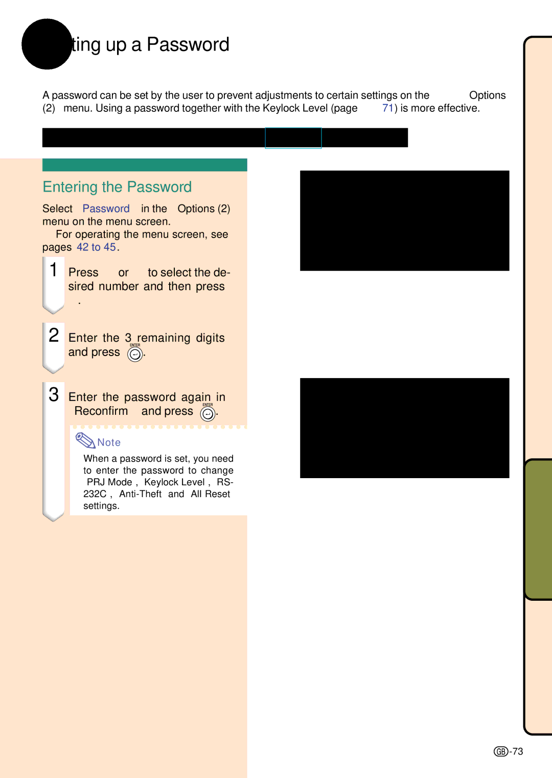 Sharp PG-C45S operation manual Setting up a Password, Entering the Password 