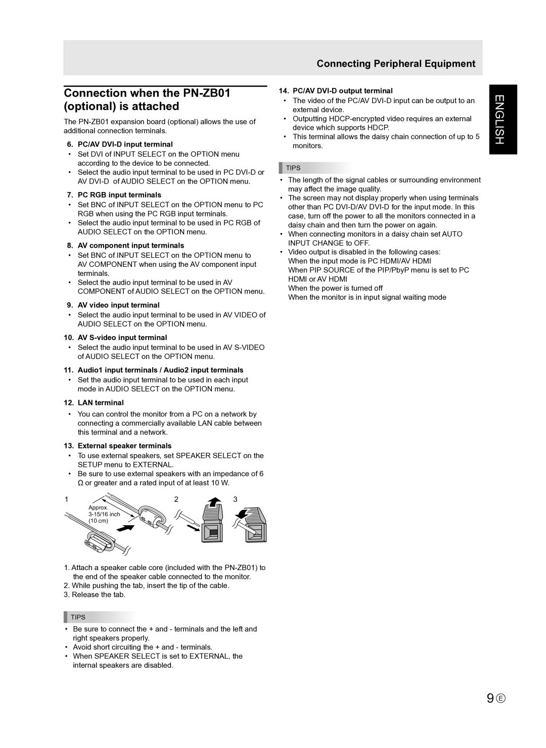 Sharp PNE421P PC/AV DVI-D input terminal, PC RGB input terminals, AV component input terminals, AV video input terminal 