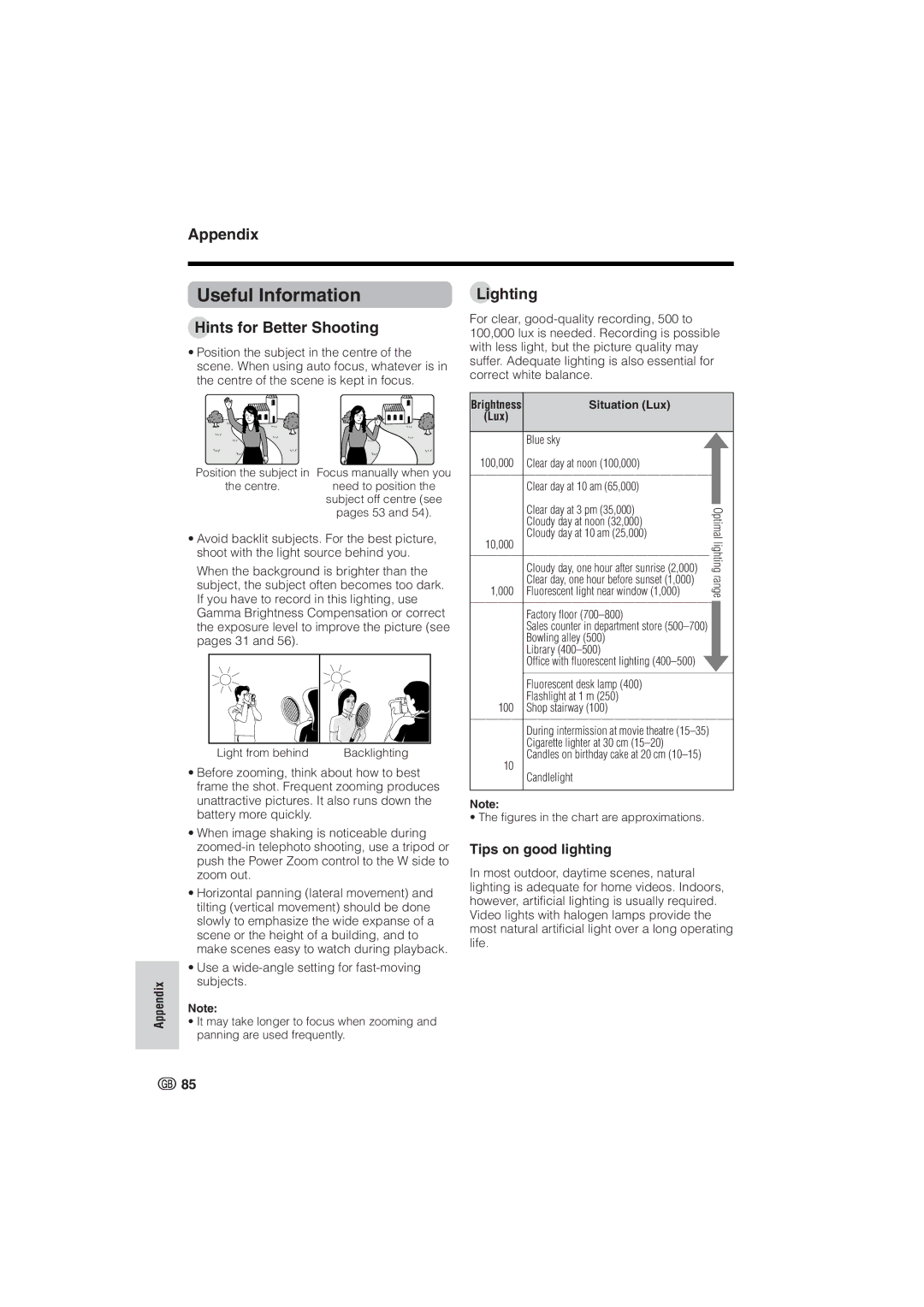 Sharp VL-NZ8S, VL-NZ10S Useful Information, Hints for Better Shooting, Lighting, Tips on good lighting, Situation Lux 