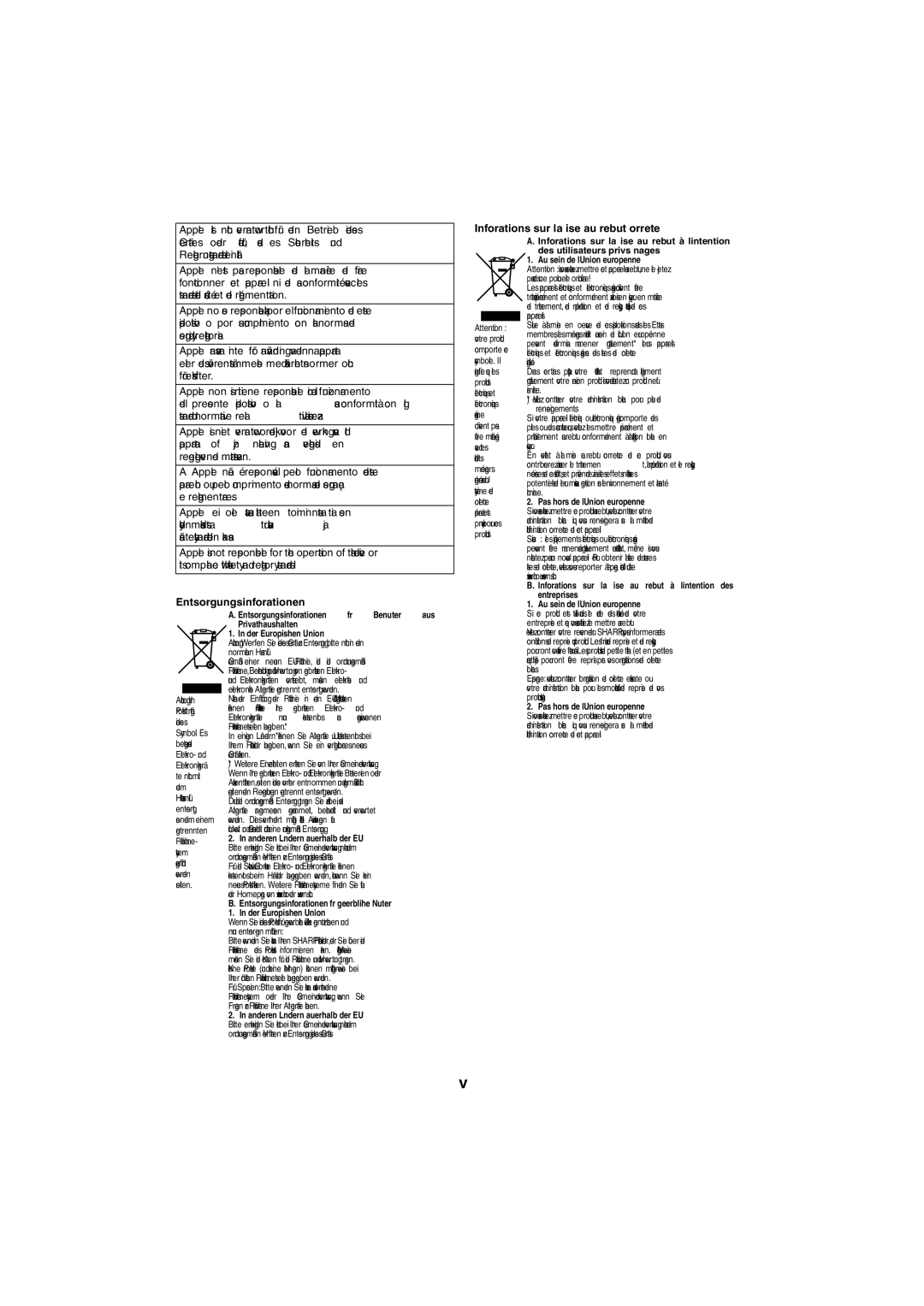 Sharp XL-DAB20NH, XL-DAB10NH operation manual Entsorgungsinformationen, Informations sur la mise au rebut correcte 