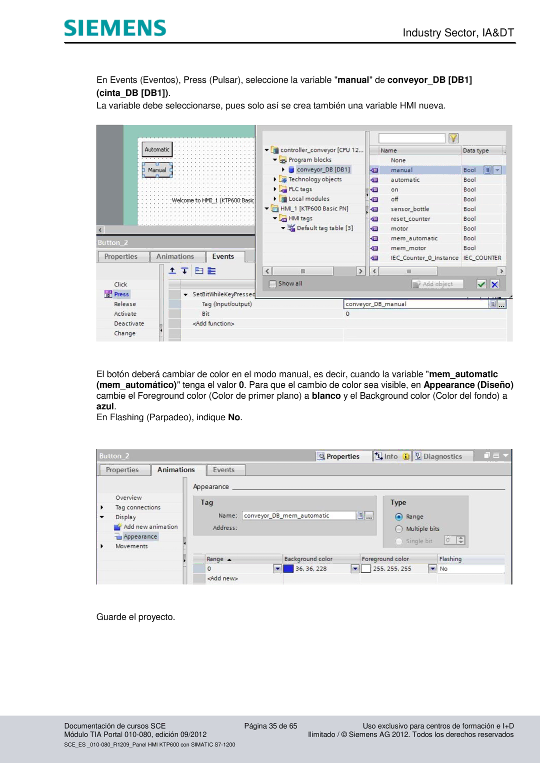 Siemens 010-080 manual CintaDB DB1 