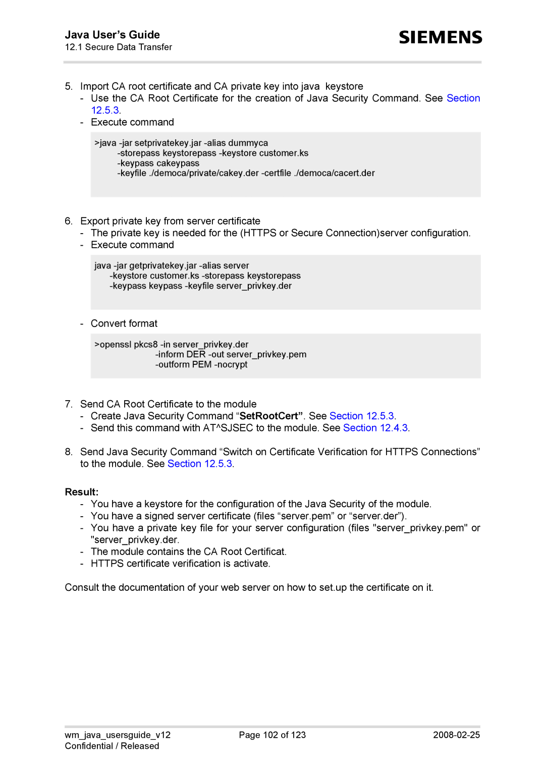 Siemens XT75, TC65, AC65, XT65 manual Convert format, Result 