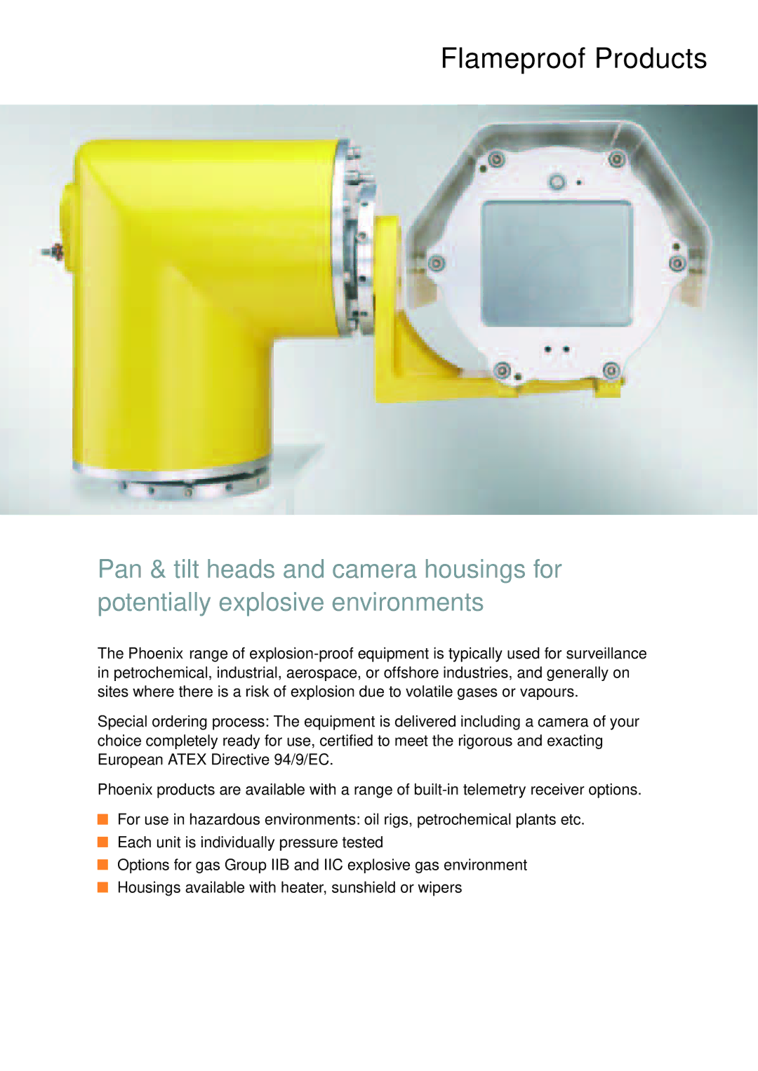 Siemens CRT, TFT manual Flameproof Products 