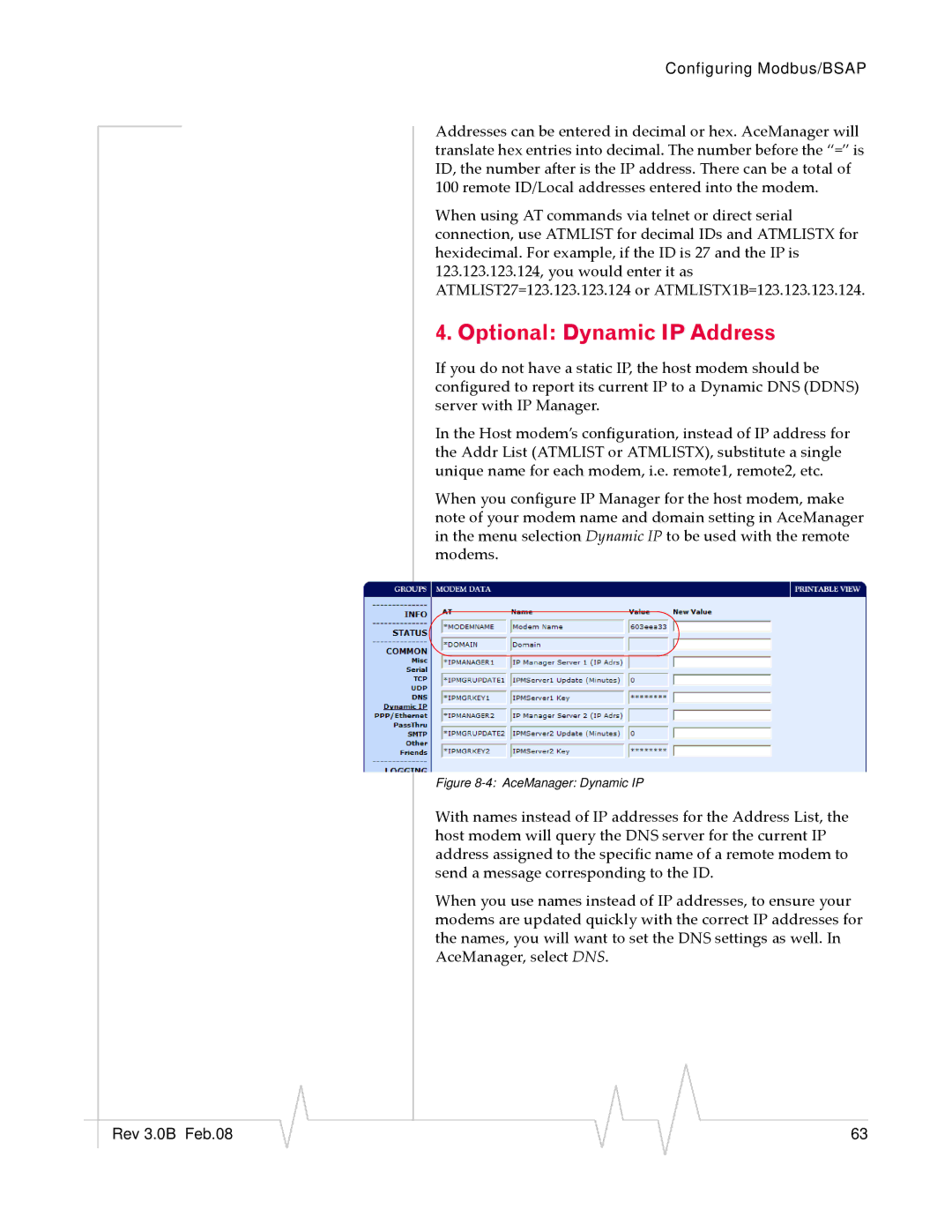 Sierra Raven EDGE manual Optional Dynamic IP Address, AceManager Dynamic IP 