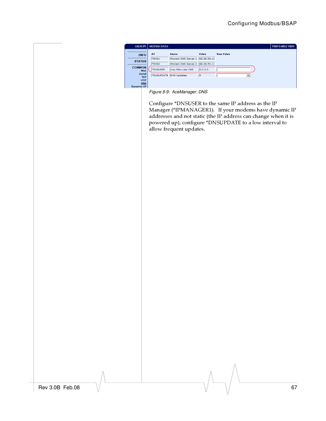 Sierra Raven EDGE manual AceManager DNS 