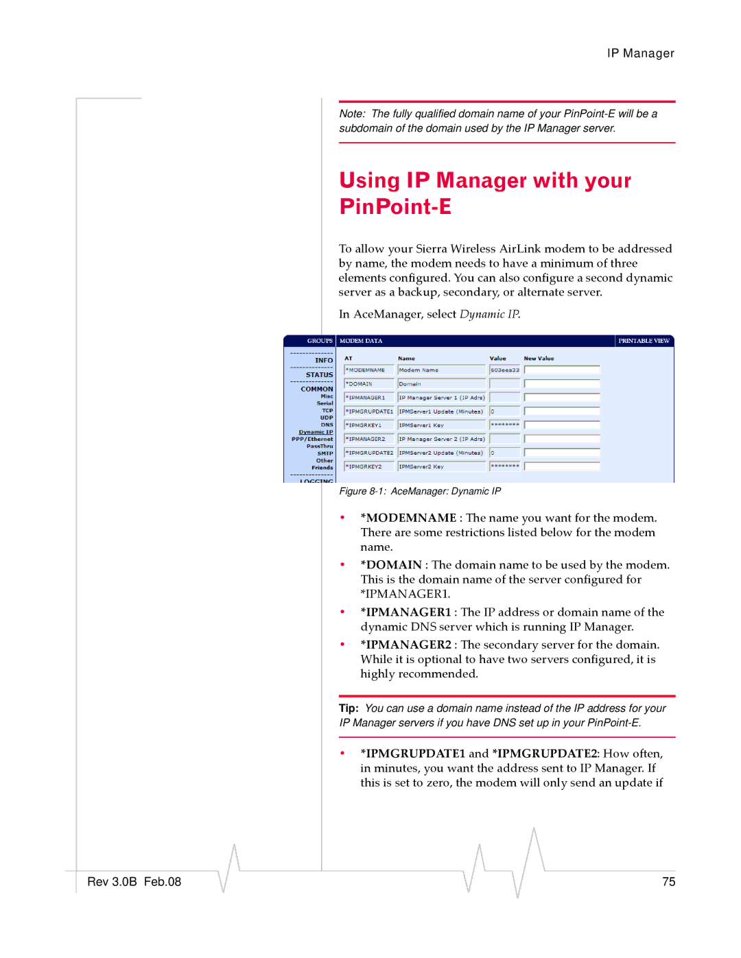 Sierra Wireless EV-DO manual Using IP Manager with your PinPoint-E, AceManager Dynamic IP 