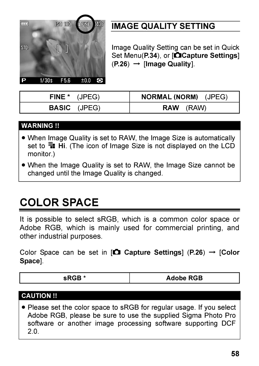 Sigma DP2, C72900 user manual Color Space, Image Quality Setting, Fine Jpeg Normal, Basic Jpeg RAW 